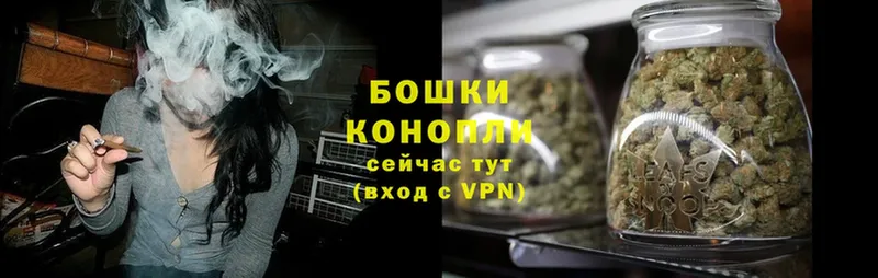 наркотики  Жиздра  Бошки Шишки Ganja 